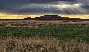 Maison de vacances �/en/au Borgarnes (Myrasysla)ou appartement ou maison de vacances