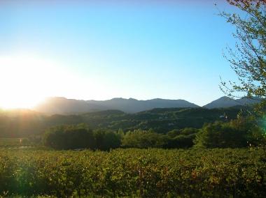 Villa /en/au san pietro di feletto (Treviso)ou appartement ou maison de vacances