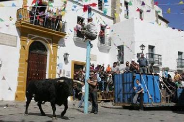 Appartement de vacances /en/au Vejer de la Frontera (Cdiz)ou appartement ou maison de vacances