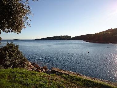 Villa �/en/au Molunat (Dubrovacko-Neretvanska)ou appartement ou maison de vacances