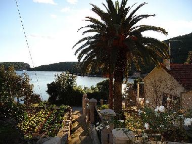 Villa �/en/au Molunat (Dubrovacko-Neretvanska)ou appartement ou maison de vacances