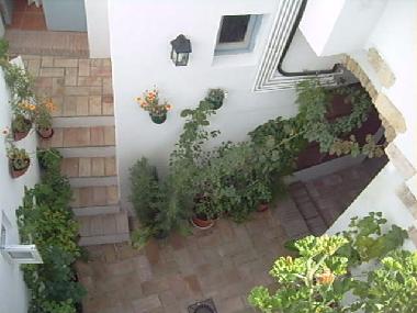 Appartement de vacances /en/au Vejer de la Frontera (Cdiz)ou appartement ou maison de vacances