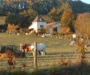 Maison de vacances /en/au Eymet (Dordogne)ou appartement ou maison de vacances