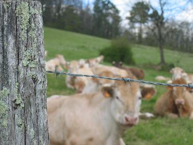 Maison de vacances /en/au Eymet (Dordogne)ou appartement ou maison de vacances