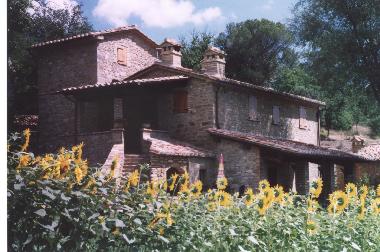 Villa /en/au Cortona Mercatale (Arezzo)ou appartement ou maison de vacances