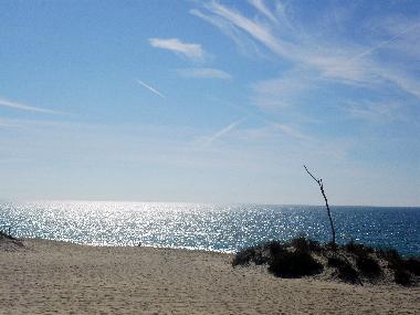 La plage de Carvalhal a l’�t�