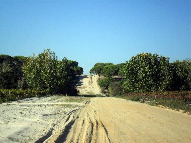 La route pour notre logis, en traversant les vignobles de Co