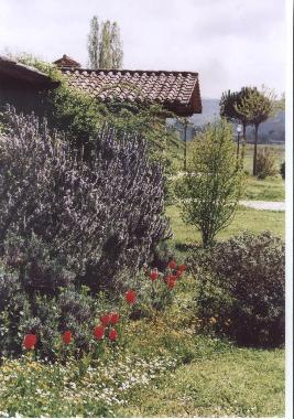 Villa /en/au Cortona Mercatale (Arezzo)ou appartement ou maison de vacances