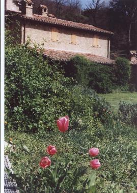 Villa /en/au Cortona Mercatale (Arezzo)ou appartement ou maison de vacances