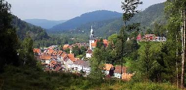 Maison de vacances �/en/au Langelsheim-Lautenthal (Harz)ou appartement ou maison de vacances
