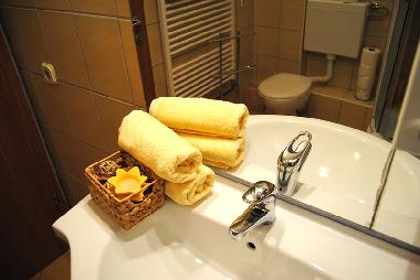 Appartement de vacances �/en/au Zagreb (Grad Zagreb)ou appartement ou maison de vacances