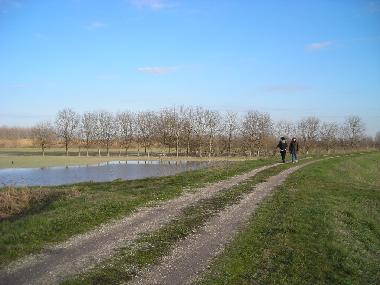 Appartement de vacances �/en/au Rovereto s/Secchia (Italie)ou appartement ou maison de vacances