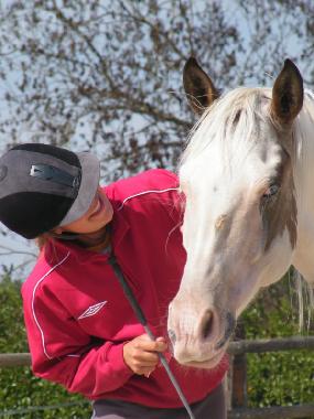 Maison de vacances �/en/au La Motte du Caire (Alpes-de-Haute-Provence)ou appartement ou maison de vacances