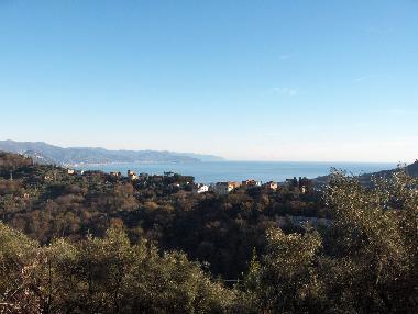 vue sur le village de San Lorenzo della Costa