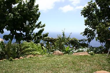 Chalet �/en/au Arco da Calheta (Madeira)ou appartement ou maison de vacances