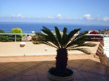 Appartement de vacances �/en/au Puerto de la Cruz (Teneriffa)ou appartement ou maison de vacances