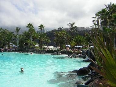 Appartement de vacances �/en/au Puerto de la Cruz (Teneriffa)ou appartement ou maison de vacances