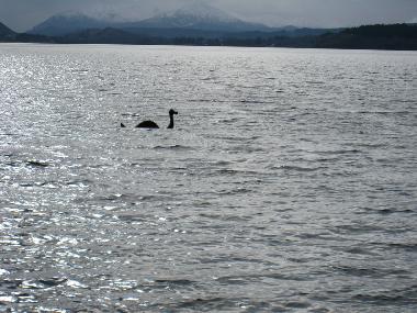 Appartement de vacances �/en/au Fort Augustus (Highlands and Islands)ou appartement ou maison de vacances