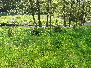 Villa /en/au Weinsheim-Gondelsheim (Eifel - Ahr)ou appartement ou maison de vacances