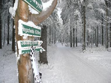 Appartement de vacances /en/au Vesser (Thringer Wald)ou appartement ou maison de vacances