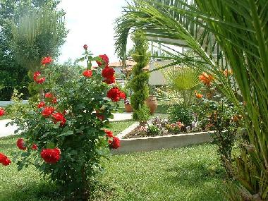 Appartement de vacances �/en/au Vrasna Beach (Chalkidiki)ou appartement ou maison de vacances