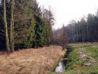 Appartement de vacances �/en/au Ueckerm�nde (Mecklenburgische Ostseek�ste)ou appartement ou maison de vacances