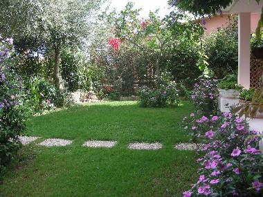 jardin en face  la maison