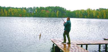 Maison de vacances /en/au Lipusz (Pomorskie)ou appartement ou maison de vacances