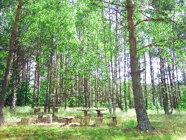 Maison de vacances /en/au Lipusz (Pomorskie)ou appartement ou maison de vacances