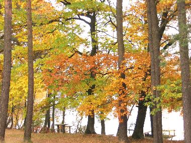 Maison de vacances /en/au Lipusz (Pomorskie)ou appartement ou maison de vacances