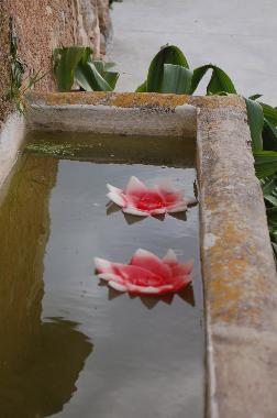 Appartement de vacances /en/au Cas Concos -Felanitx- (Mallorca)ou appartement ou maison de vacances