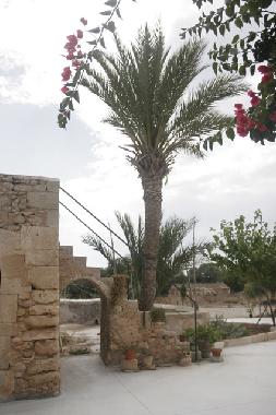 Appartement de vacances /en/au Cas Concos -Felanitx- (Mallorca)ou appartement ou maison de vacances