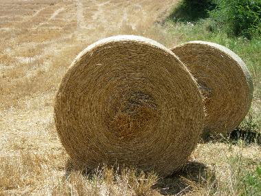 Maison de vacances �/en/au Anghiari (Arezzo)ou appartement ou maison de vacances