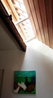 Maison de vacances /en/au Niawier/Dokkum (Friesland)ou appartement ou maison de vacances