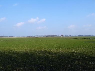Maison de vacances /en/au Niawier/Dokkum (Friesland)ou appartement ou maison de vacances