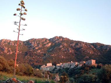 Maison de vacances /en/au Urtaca (Haute-Corse)ou appartement ou maison de vacances