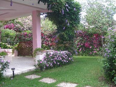 coin jardin