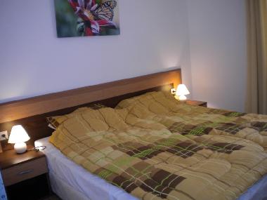 Appartement de vacances �/en/au Bansko (Blagoevgrad)ou appartement ou maison de vacances