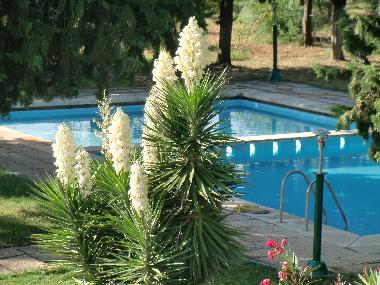 Villa �/en/au Badajoz (Badajoz)ou appartement ou maison de vacances
