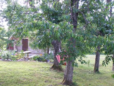 Maison de vacances �/en/au Kurzeme, Edole (Lettland)ou appartement ou maison de vacances