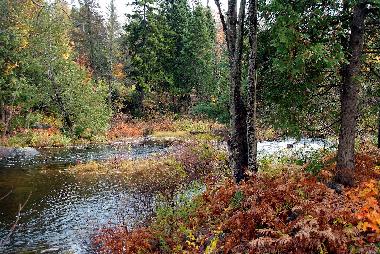 Chalet �/en/au Morin-Heights (Quebec)ou appartement ou maison de vacances