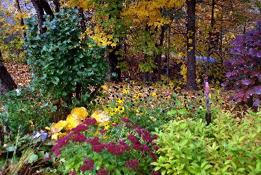 Chalet �/en/au Morin-Heights (Quebec)ou appartement ou maison de vacances