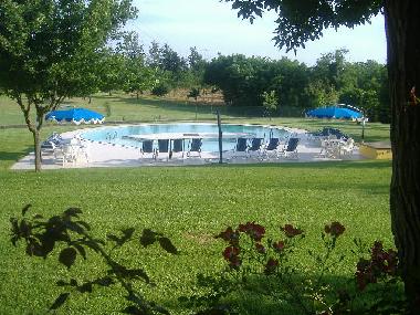 Piscine  sel et solarium