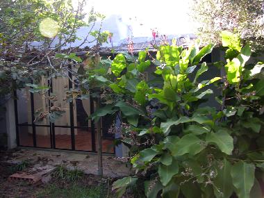 Maison de vacances /en/au El Colorado (Cdiz)ou appartement ou maison de vacances