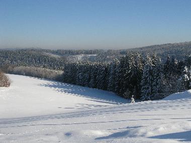 Maison de vacances /en/au Winterberg (Sauerland)ou appartement ou maison de vacances