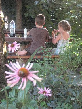 Chambre avec petit d�jeuner �/en/au Biert/ Massat (Ari�ge)ou appartement ou maison de vacances