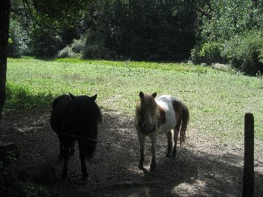 Chambre avec petit d�jeuner �/en/au Biert/ Massat (Ari�ge)ou appartement ou maison de vacances