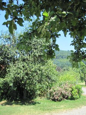 Maison de vacances �/en/au Biberach/Baden (Schwarzwald)ou appartement ou maison de vacances