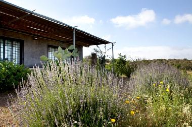 Maison de vacances �/en/au Noto (Siracusa)ou appartement ou maison de vacances