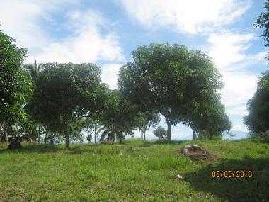 Chambre avec petit d�jeuner �/en/au Del Monte (Davao)ou appartement ou maison de vacances